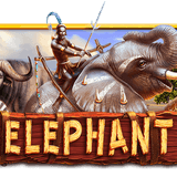 Halaman Utama Situs Gacor Dan Link Daftar Slot Online Pasti Jackpot Elephant