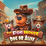 Tabel Bonus Slot Gacor, Slot Online, Togel, RTP Slot Online 24 Jam Terpercaya The Dog House – Dog Or Alive